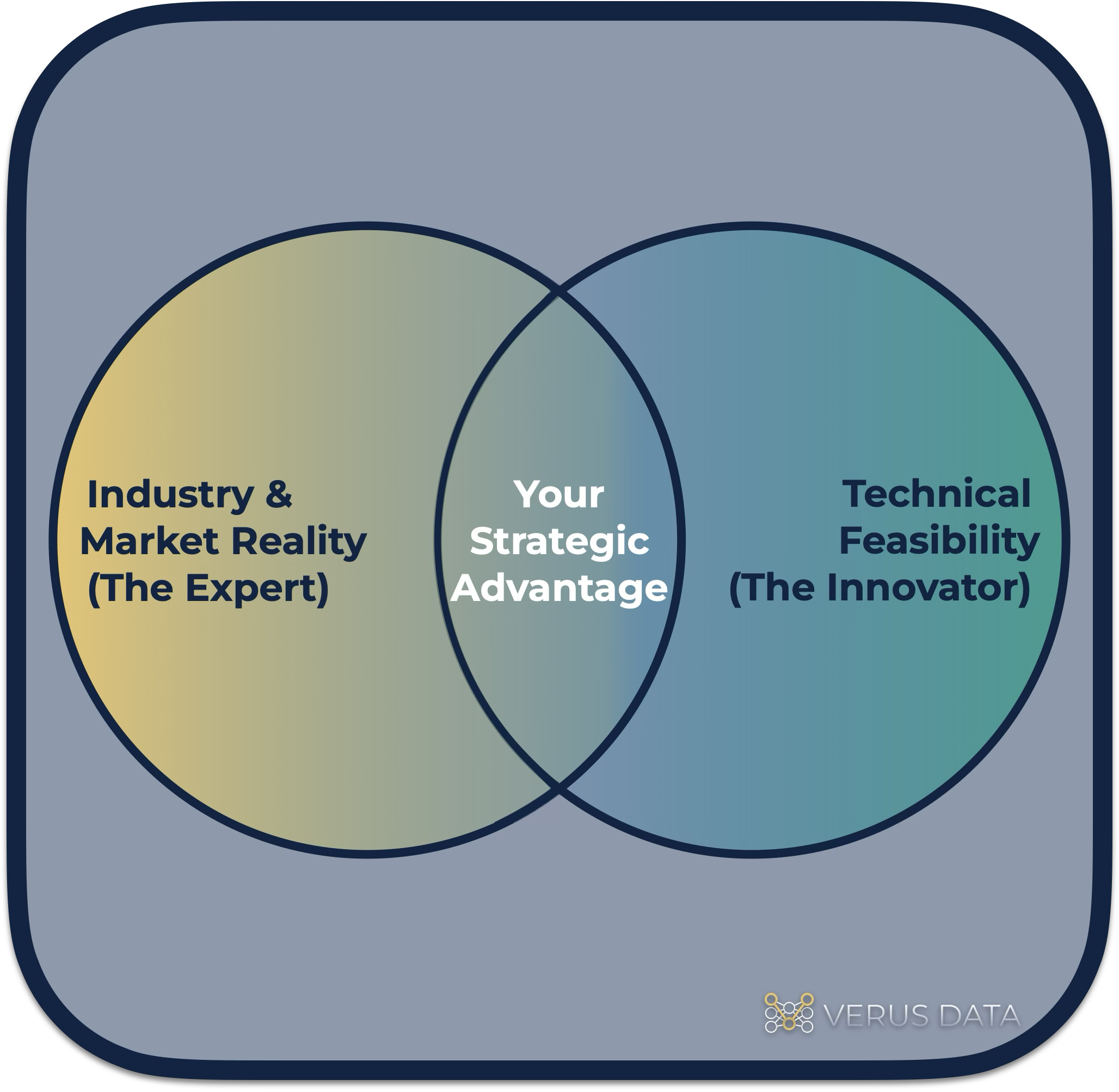 Venn diagram showing Verus Data advantage -- a dyad of experts and innovators.